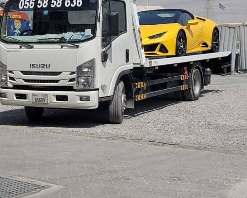 WhatsApp Image 2026-01-17 at 10.00.38 (1)